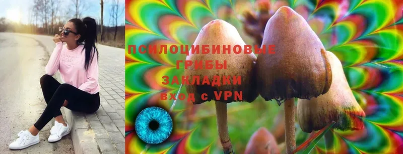 Псилоцибиновые грибы Magic Shrooms  Губкин 